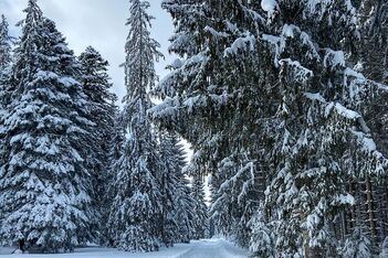 Landschaft im Winter