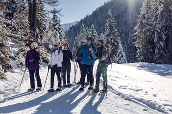 Auf den Spuren der Wildtiere