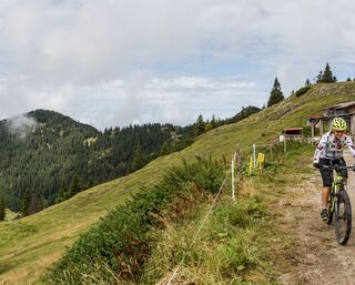 469 Achenwald-Blaubergalm