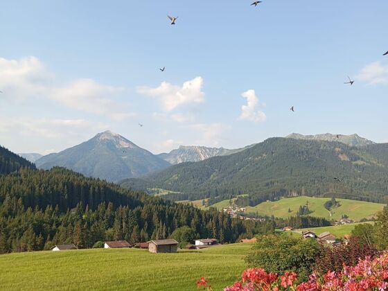 Ferienhaus-Bauernhof Bogstlhof