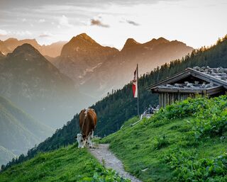 Maurach - Dalfaz Alm - Dalfazer Wasserfall - Maurach
